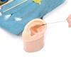 Realistic Silicone Ear Model Soft and Flexible Medical Students Practice