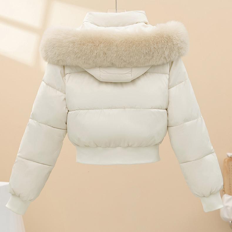 Autumn Winter Keep Warm Jacket with Fur Hat Thick Cotton Coat Coats Parker Short Trend British Style