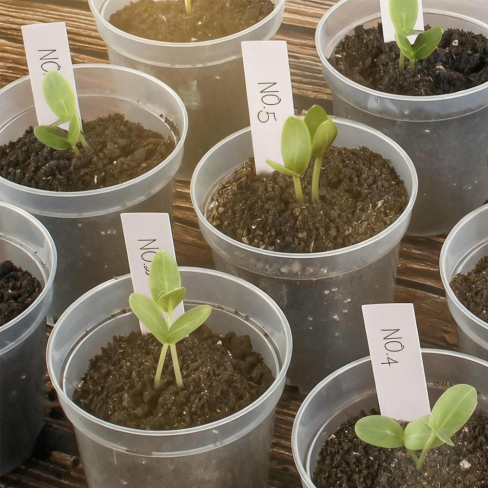 Flower Pots Set of 30 Clear Plastic Pots with Drainage Holes and 50 Plant Labels for Garden and Plant Organization