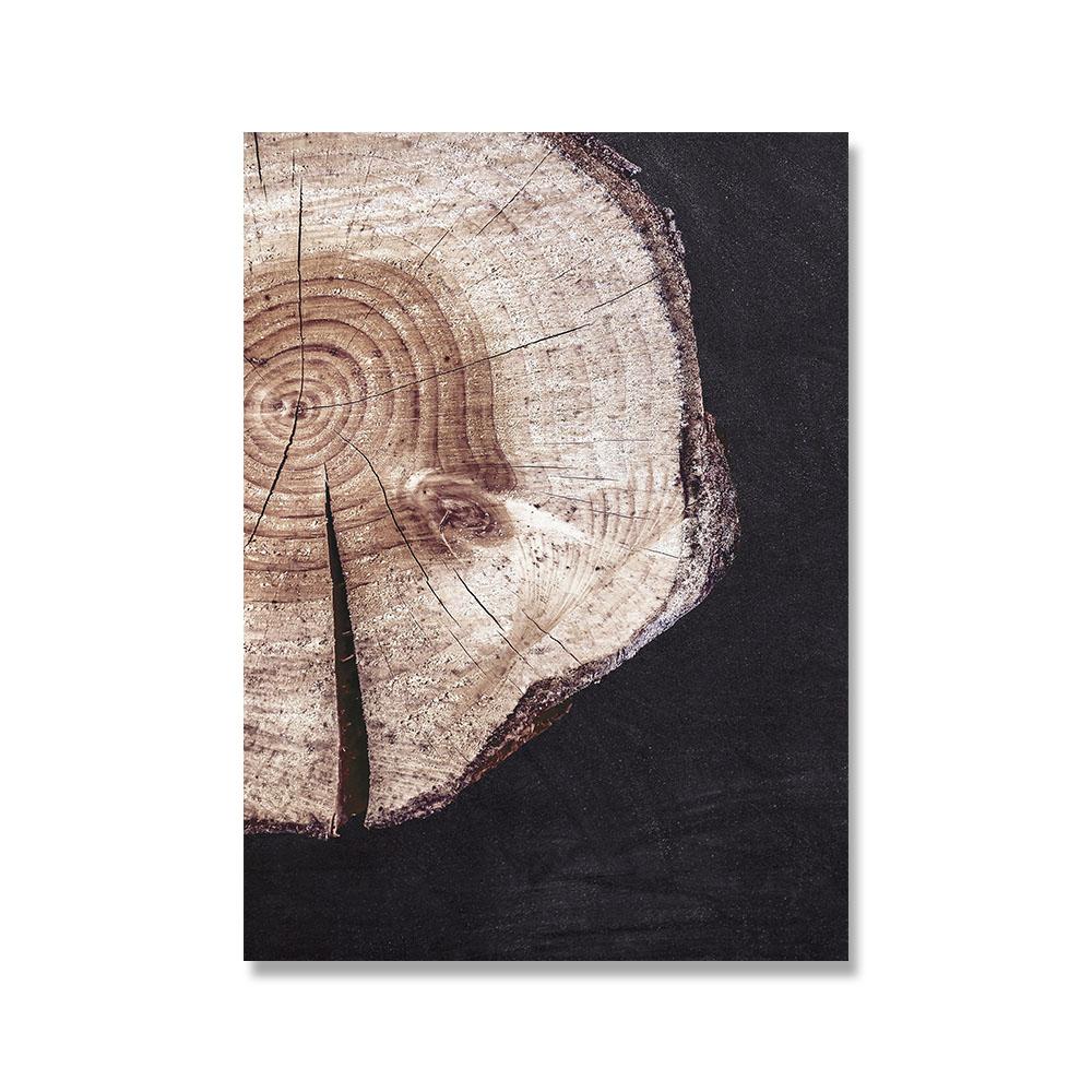 Wood Tree Ring Canvas Art Painting Wall Pcitures Black and White Rustic Wood Canvas Prints Home Modern Woodwork Posters Decor