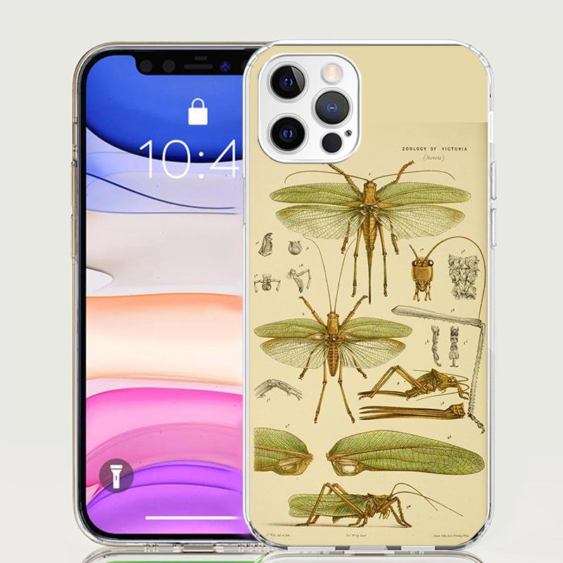 Bugs Bees Scientific Decomposition Phone Case for Apple iPhone 17 Air 16 15 Plus 14 + 13 Mini 12 11 Pro Max 7 8 SE 16Max Soft Sh