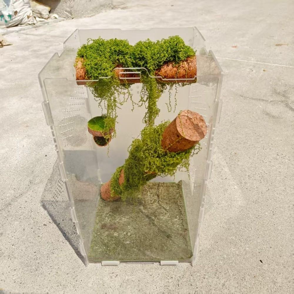 Hanging Jumping Spider Hideout Magnetic Install Insect Hide House Small Pet Supplies