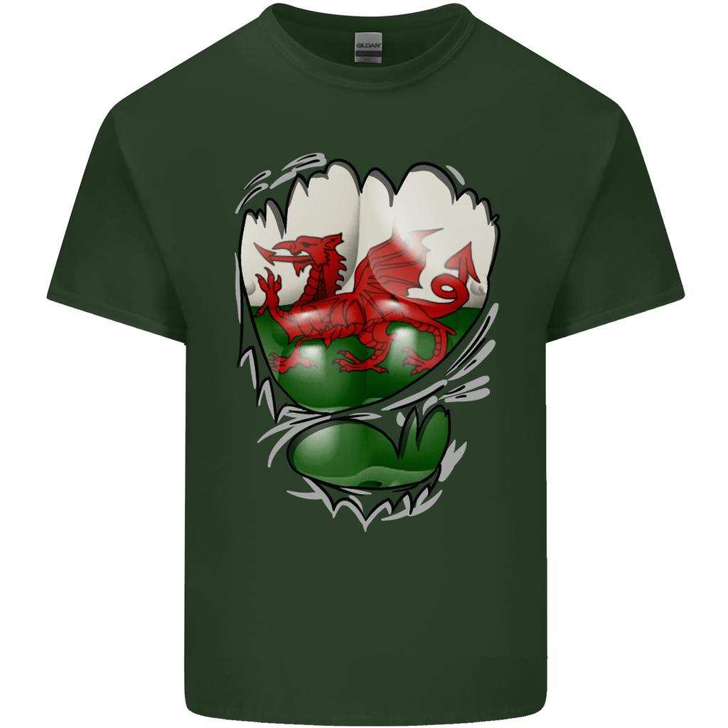 Gym The Welsh Flag Ripped Muscles Wales Unisexs Light Cotton TShirt