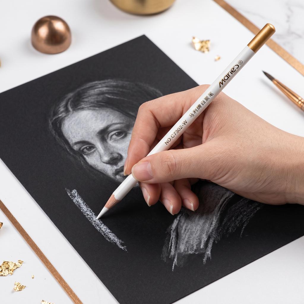 Marie's 12pcs White Highlight Charcoal Pencils, Suitable for Brightening Highlights, Drawing on Dark Paper, Sketching