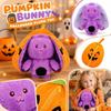 Plush Pumpkin Shaped Toy with Zipper Soft Stuffed Halloween Decoration and Storage Pouch for Kids and Adults