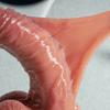 8,66" Realistyczny Dildo z Płynnego Silikonu – Miękka Tekstura Skóry, Łatwo Wsuwający Się, Mocna Przyssawka, Elastyczna Zabawka Seksualna Analna i Waginalna dla Kobiet, Mężczyzn i Par
