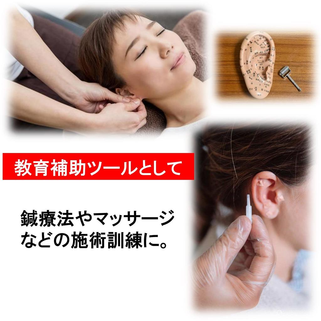 NOELAMOUR Silikon-Ohr-Modelle, Set von 1 (Links und rechts), Realistische Ohr-Modelle für Piercings (Hautfarbe)