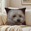 BBichon Frise Cushion Cover Linen Pillowcase Soft  for Sofa Bed Home Room Decor