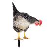 Ornamental Eco-friendly Rooster Decor Garden Statue Chicken for Garden