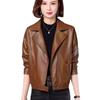 Haining Short Leather Jacket Women's Autumn Loose Short Slim Locomotive Suit Slim Women's Leather Jacket