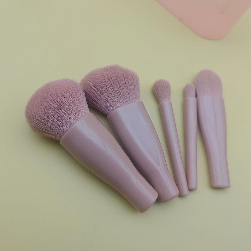 Makeup Brush Set 5 Pcs Professional Travel Small Makeup Brushes with Brush Case, Cosmetics Brushes for Foundation, Eyeshadow, Powder, Blush Brush Kit