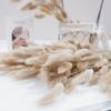 Small Reed Dried Flower Bouquet Small Whisk Small Pu Reed Reed Dried Flower Rabbittail