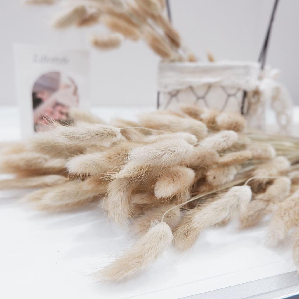 Small Reed Dried Flower Bouquet Small Whisk Small Pu Reed Reed Dried Flower Rabbittail