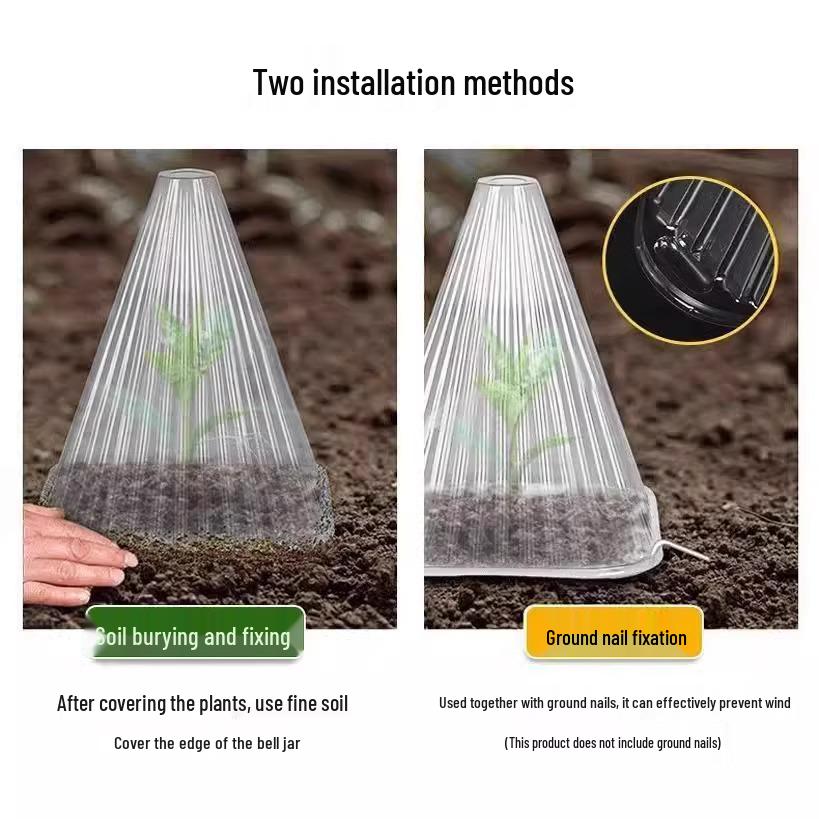 Transparent Cloche Seedling Cover for Insect, Bird, and Frost Protection in Green Vegetable Gardening