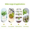 10Pcs Hydroponics Nursery Basket Seed Hydroponics Grow Pot Seed Planting Basket Garden Supplies Hydroponic Soilless Pot