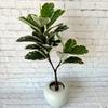 Brasiliensis Artificial Hevea Leaf With Lush Foliage For Photography Prop Decor