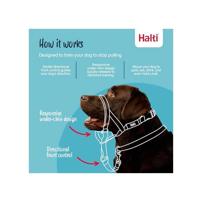 Anti-Zug-Halsband für Hunde - Halti - Größe 1 - Waldgrün - Gepolsterter Nasenriemen - Reflektierende Elemente