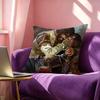 JJayvik Cute Pillow Case Square DoubleSided Sofa Cushion Cover Bedroom Bedside Pillow