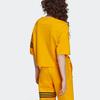 Adidas Originals Adicolor Neuclassics Tee Color Block Striped Round Neck Loose Short Sleeve T-Shirt Women Tops Yellow HM1757