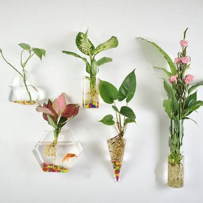 Wandmontierte Unregelmäßige Form Glas Kunsthandwerk Hydroponische Vase Blumenvase Blumentopf Pflanzenbehälter