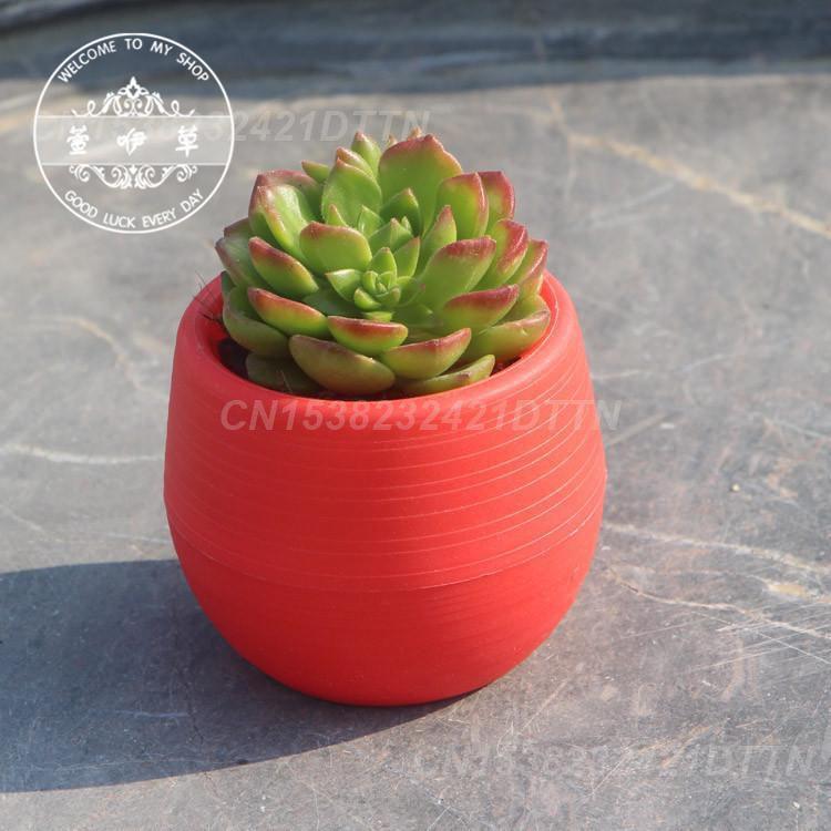1/2/3PCS Plastic Flowerpot Small Green Plant Flowerpot Plant Desktop Potted Solid Color Mud Holder 2025 Succulent Plant Pot