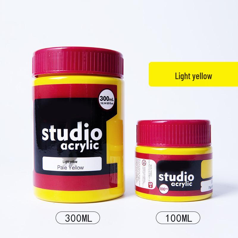 24-Color Acrylic Paint Set: Waterproof, 300ml Cans for Wall, Clothing & Shoes DIY Projects