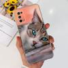 For Realme 7 Pro Case RMX2170 Cute Cat Flowers Painted Cover Clear Silicone Soft TPU Phone Case For Realme 7 Pro Realme7 5G Bags