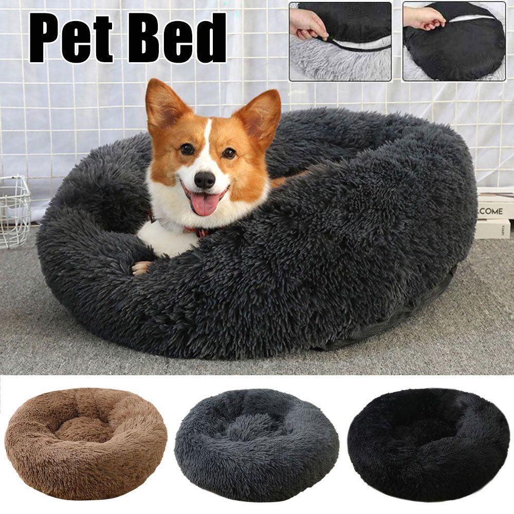 comfy pet bed