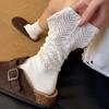 Chaussettes et collants – Chaussettes
