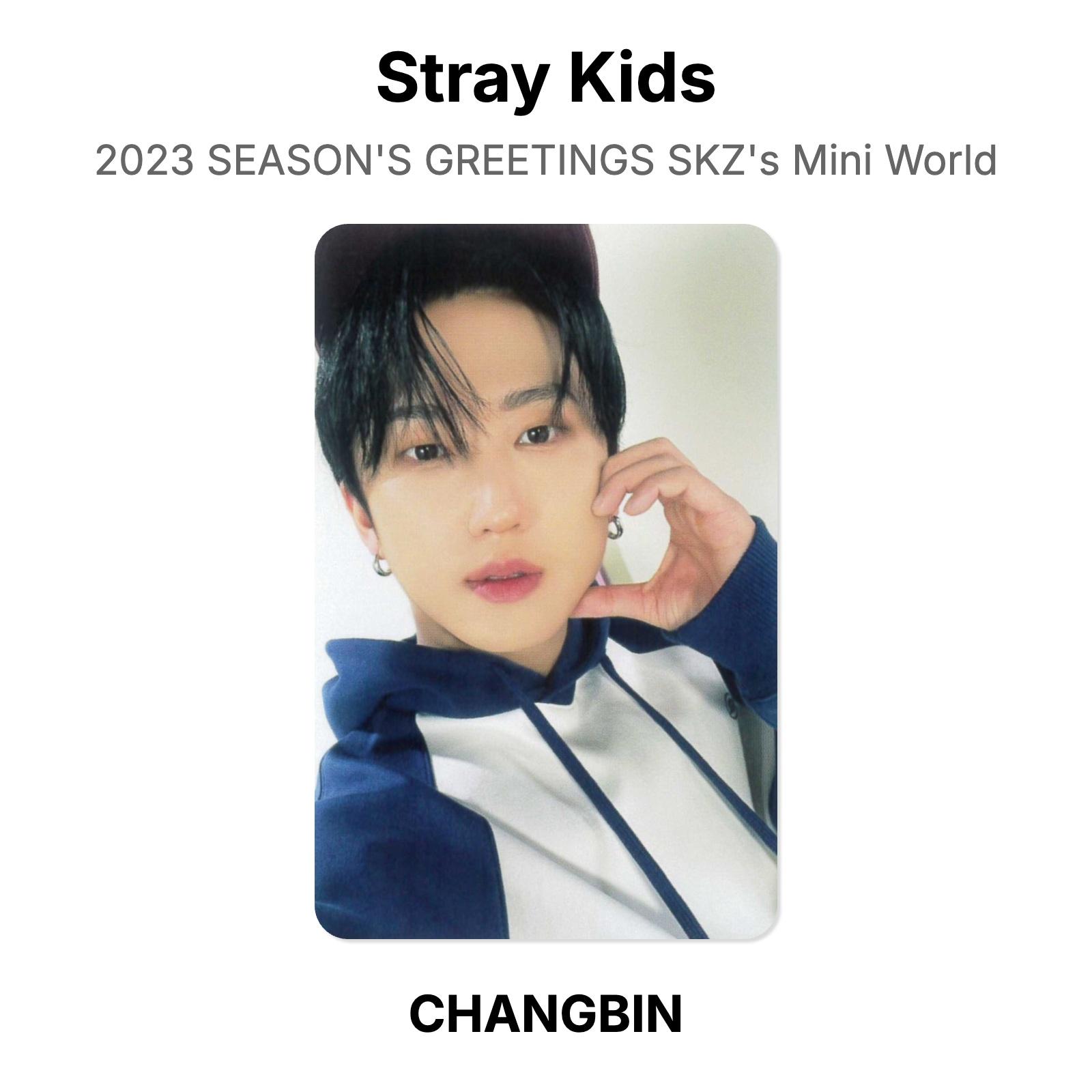 Stray Kids 2023 ПОЗДРАВЛЕНИЕ С НОВЫМ ГОДОМ SKZ s Mini World Официальная фотокарточка CHANGBIN