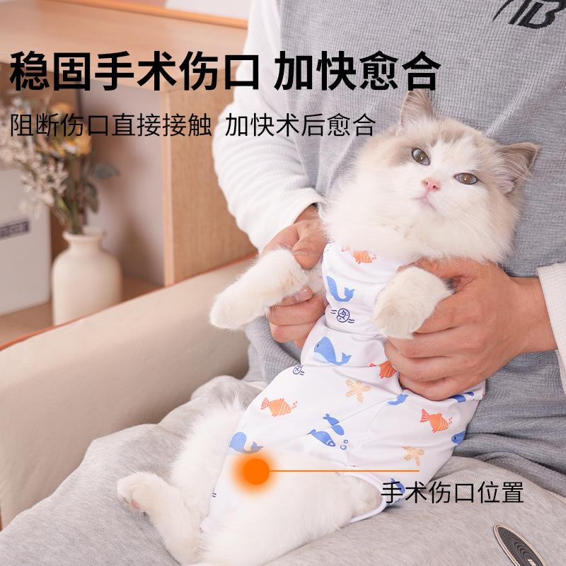 Kleidung zur Genesung nach einer Tieroperation: Katzen- und Hundebekleidung für alle Jahreszeiten