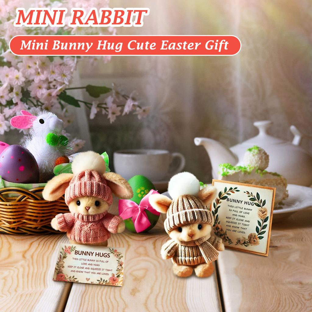 Small Bunny Hugging Cute Easter Gift, Easter Plush Bunny With Knitted Hat And Ball, Soft Pocket Bunny With Gift Box And Card