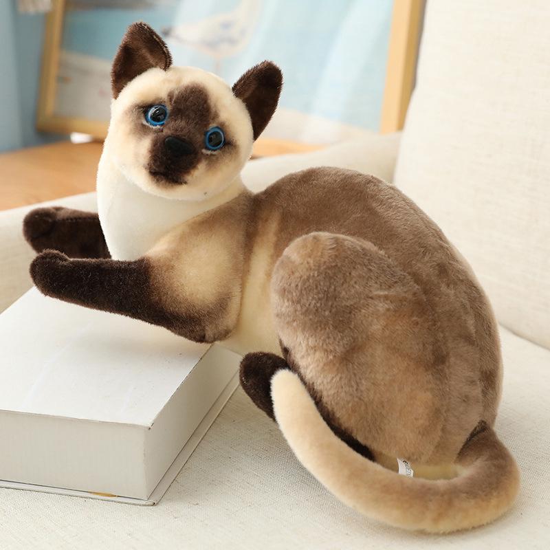 Siamese Cat Plush Toy: Early Education Comfort Gift for Children, Home Decor Ornament