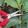 Pruning Shear Branch Scissors Stainless Steel Non-Slip Handle Sharp Garden Fruit Tree Pruning Very Sharp Garden Tools
