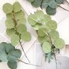 Artificial Eucalyptus Leaves Stems Real Touch Faux Greenery Branches for Vase Wedding Bouquet Flower Arrangement Home Office Spring Centerpiece