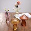 Shape Transparent for Home Decor Flower Bottle Glass Vase Aromatherapy Bottle Desktop Ornament