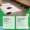 Cockroach Gel Household Kitchen Bathroom Basement Multi-scene Convenient Cockroach Killing 10g