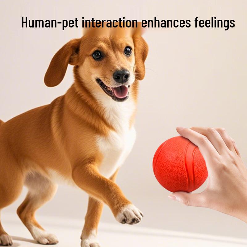 Dog Solid Rubber Training & Chew Ball