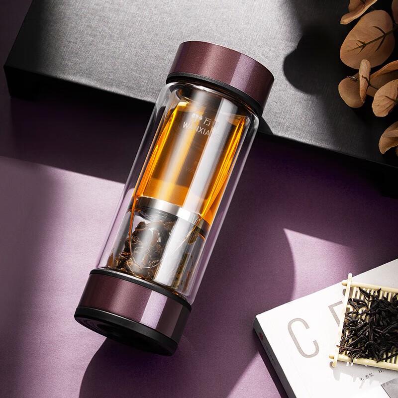 Vansum Portable Tea Infuser Double Wall Glass Bottle