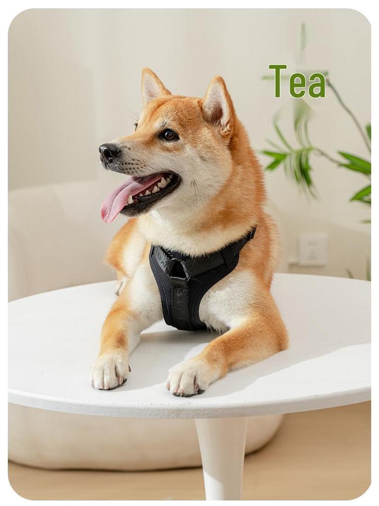 Adjustable Vest-Style Anti-Pull Dog Harness & Leash for Medium To Large Dogs