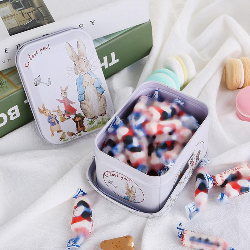 Vintage Small Suitcase Storage Plech Metal Candy Box Dárková krabička Cookie dárková krabička