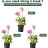 Set Of 5 Rustproof Iron Tomato Stakes Twisted/Vertical Design Plant Support Holder Climbing Stand For Climbing Vegetable