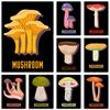 Various Mushrooms Poster Modern Cute Food Mushroom Cartoon Canvas Painting Wall Art Picture for Kitchen Living Room Home Decor