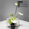 Chinese Style Floral Coffee Table Arrangement for Living Room or Hotel Decor