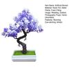 Artificial Bonsai Tree Indoor Small Fake Plants with Resin Pot for Home Office Desk Shelf Bathroom Bedroom Living Room Decoration