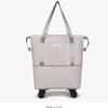 Expandable Folding Travel Bag