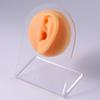 Silicone Ear Model Earrings Jewelry Display Props Earrings Stud Earrings Organizer Display Stand and Packaging