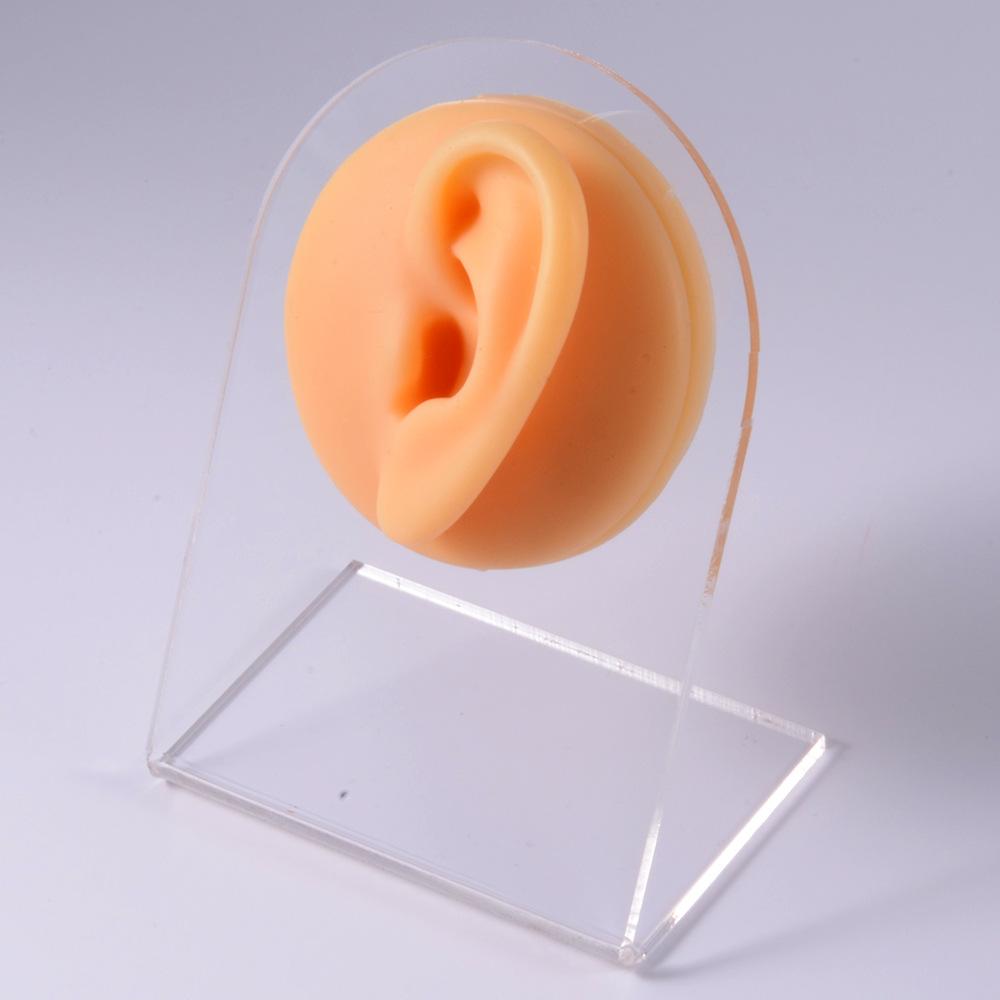 Silicone Ear Model Earrings Jewelry Display Props Earrings Stud Earrings Organizer Display Stand and Packaging
