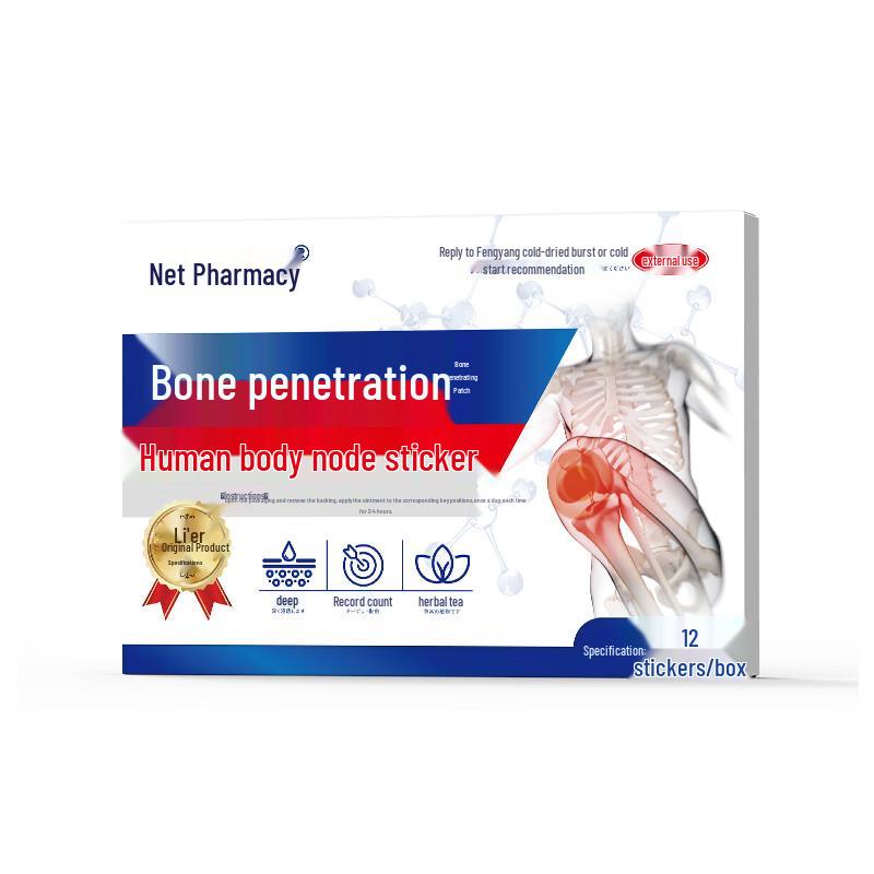 Ganglong Pain Relief Patch