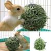 Stainless Steel Plated Hay Rack Ball Feed Dispenser Suspendable Toy Guinea Pig Hamster Rat Rabbit Pet Supply Grass Rack Ball